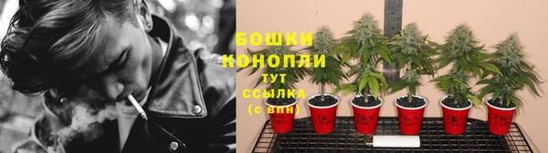 трава Алзамай