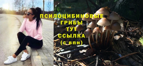 трава Алзамай